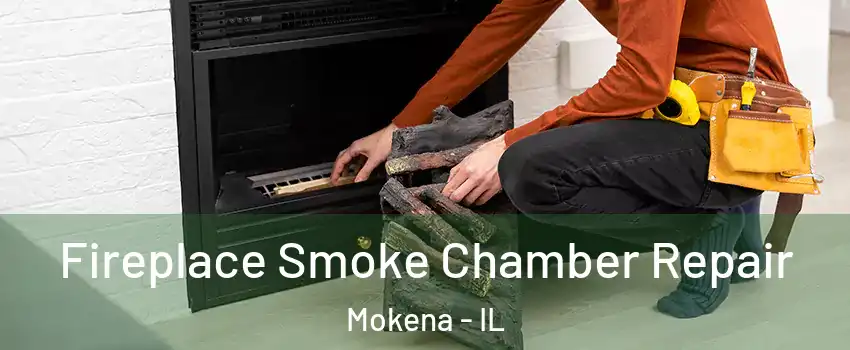 Fireplace Smoke Chamber Repair Mokena - IL