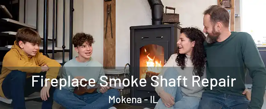  Fireplace Smoke Shaft Repair Mokena - IL