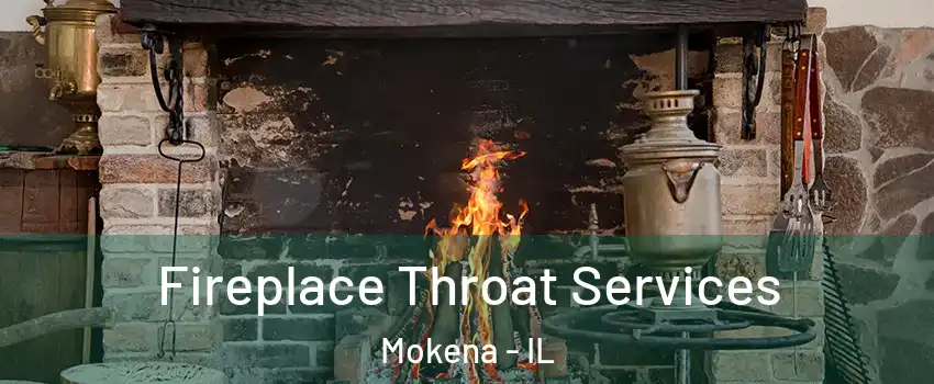  Fireplace Throat Services Mokena - IL