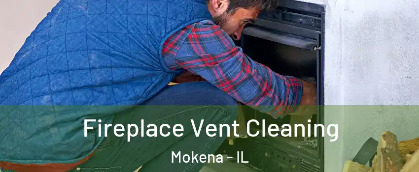  Fireplace Vent Cleaning Mokena - IL