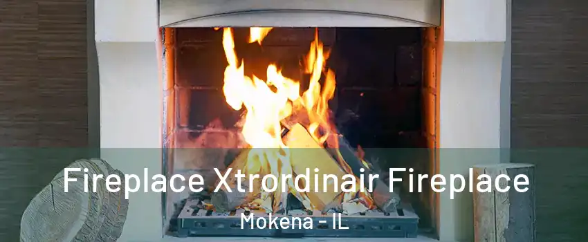  Fireplace Xtrordinair Fireplace Mokena - IL