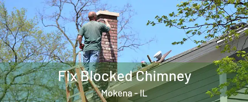  Fix Blocked Chimney Mokena - IL