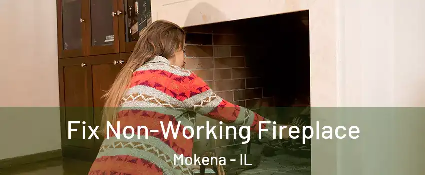  Fix Non-Working Fireplace Mokena - IL