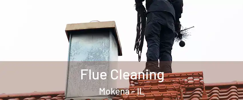  Flue Cleaning Mokena - IL