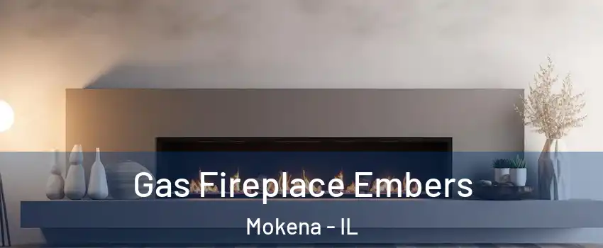  Gas Fireplace Embers Mokena - IL
