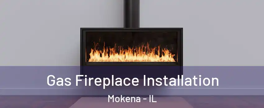  Gas Fireplace Installation Mokena - IL