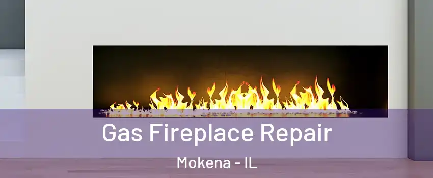  Gas Fireplace Repair Mokena - IL