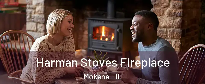  Harman Stoves Fireplace Mokena - IL