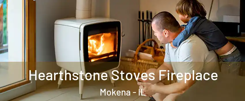  Hearthstone Stoves Fireplace Mokena - IL