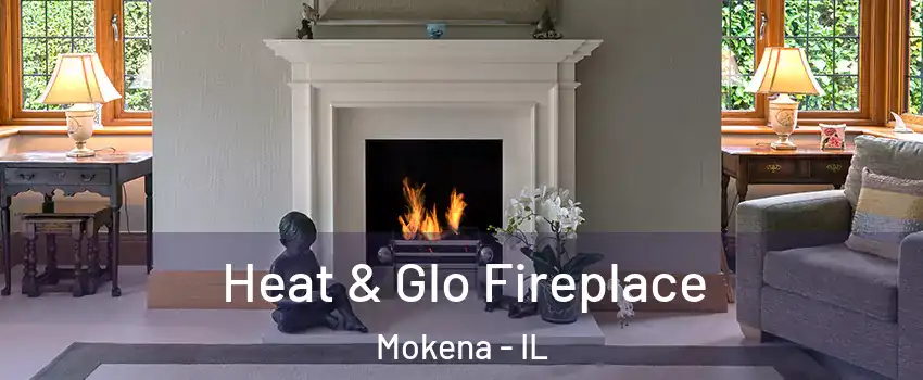  Heat & Glo Fireplace Mokena - IL