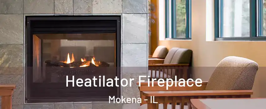  Heatilator Fireplace Mokena - IL