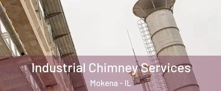  Industrial Chimney Services Mokena - IL