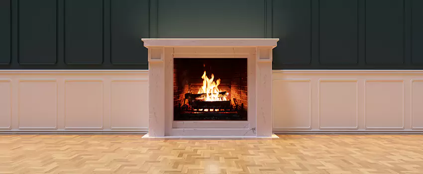 Napoleon Electric Fireplaces Inspection Service in Mokena, Illinois