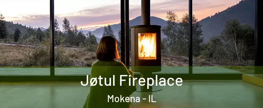  Jøtul Fireplace Mokena - IL