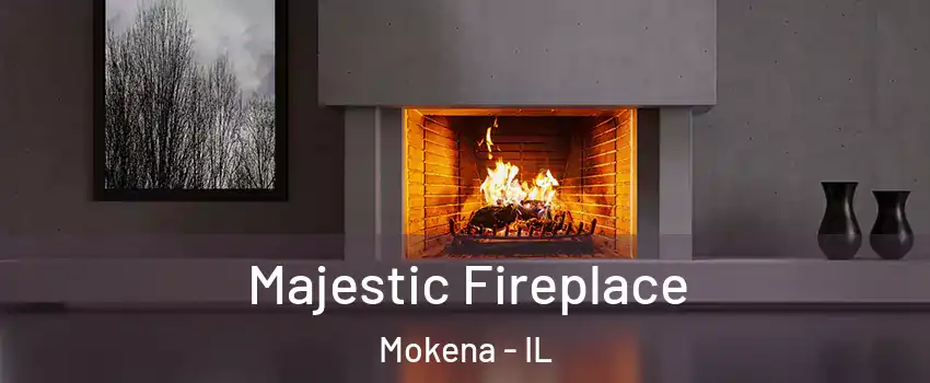  Majestic Fireplace Mokena - IL