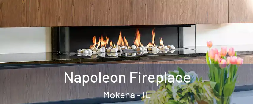  Napoleon Fireplace Mokena - IL