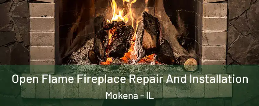 Open Flame Fireplace Repair And Installation Mokena - IL