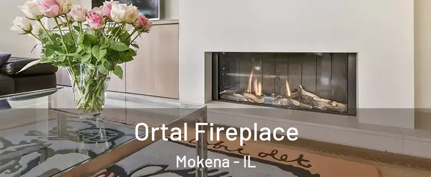  Ortal Fireplace Mokena - IL