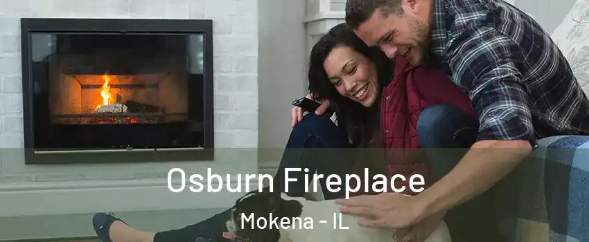  Osburn Fireplace Mokena - IL