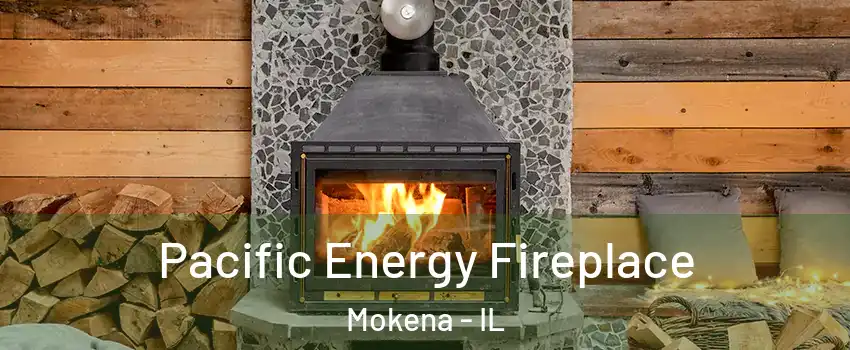  Pacific Energy Fireplace Mokena - IL