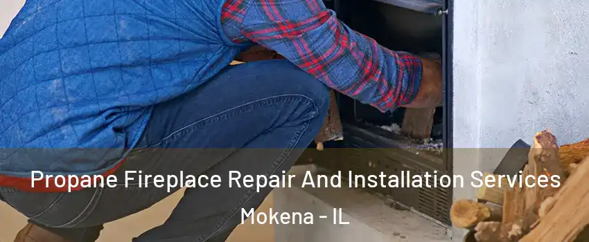  Propane Fireplace Repair And Installation Services Mokena - IL