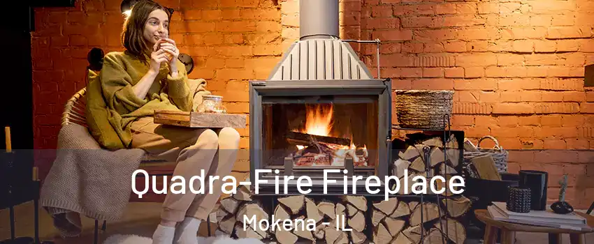  Quadra-Fire Fireplace Mokena - IL