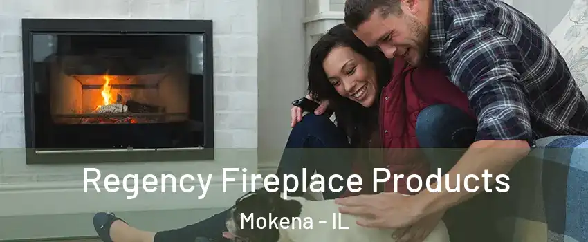 Regency Fireplace Products Mokena - IL