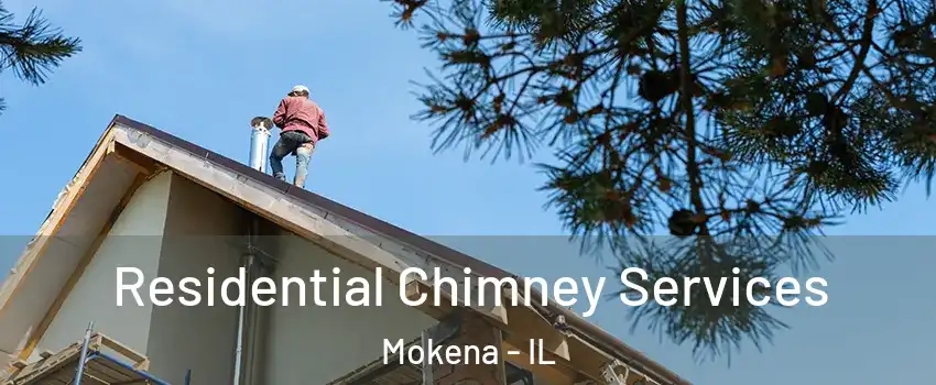  Residential Chimney Services Mokena - IL