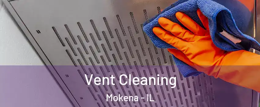  Vent Cleaning Mokena - IL