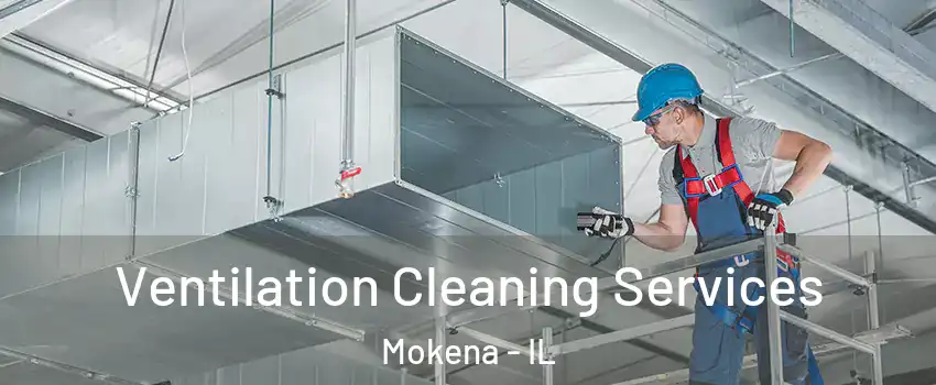  Ventilation Cleaning Services Mokena - IL