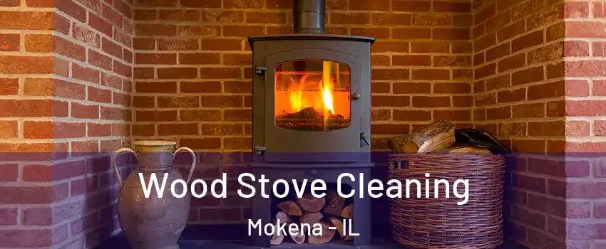  Wood Stove Cleaning Mokena - IL